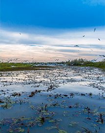 Circuits et excursions